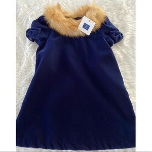 Janie and Jack Velvet Dress 2T